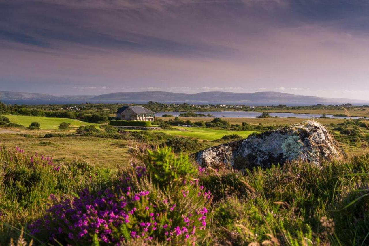 Frank'S Villa Galway Buitenkant foto